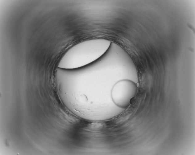 X0000096410418200801241029