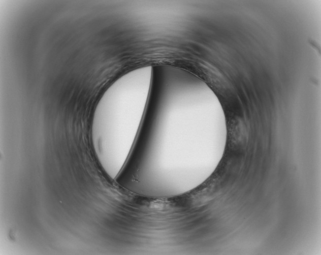 X0000096410420200801241029
