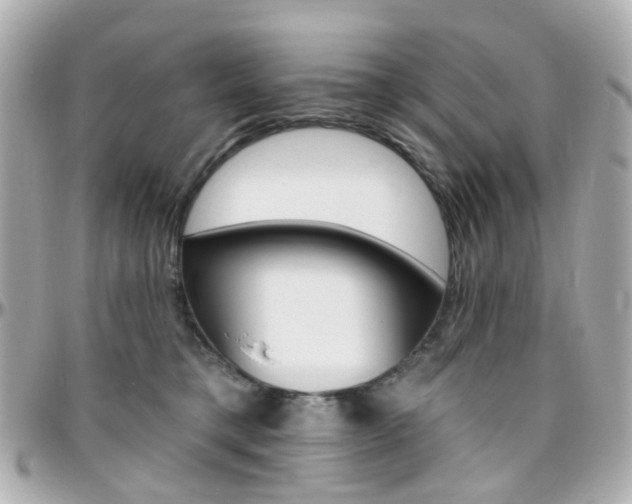X0000096410421200801241029
