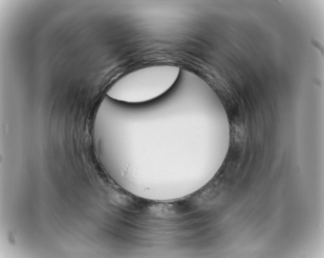 X0000096410422200801241029