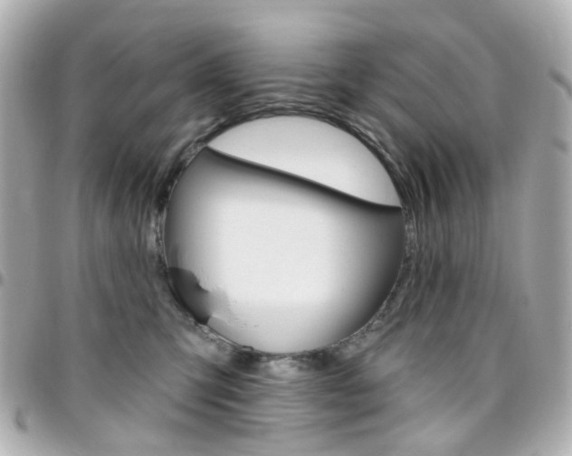 X0000096410423200801241029