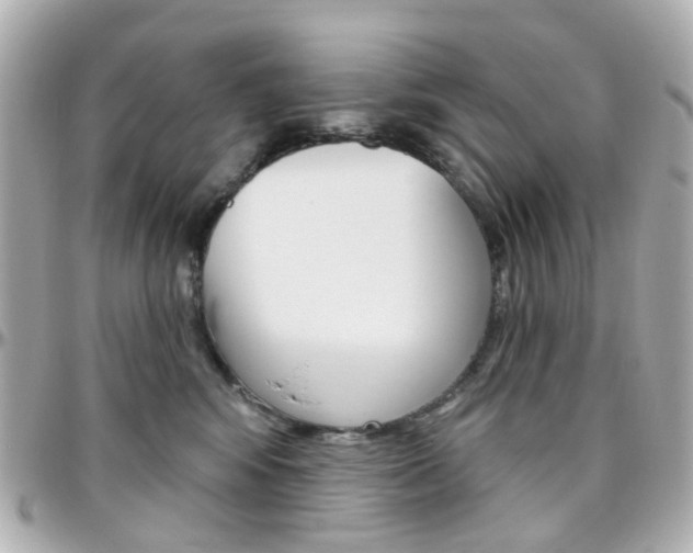 X0000096410424200801241029