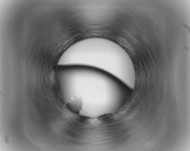 X0000096410425200801241029
