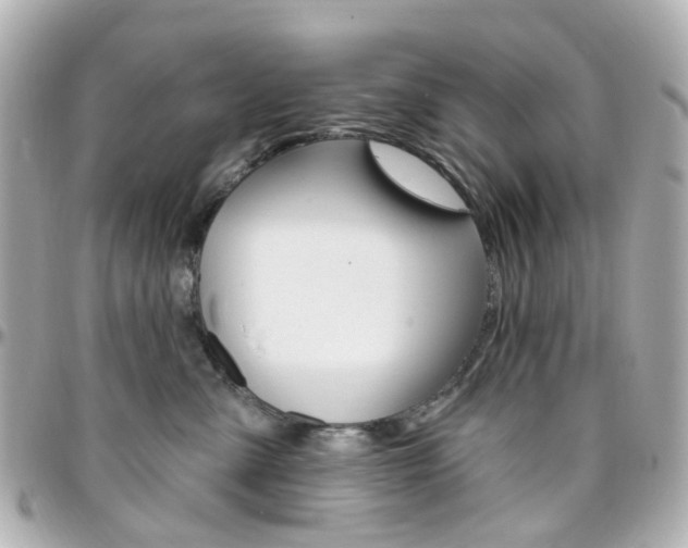 X0000096410427200801241029