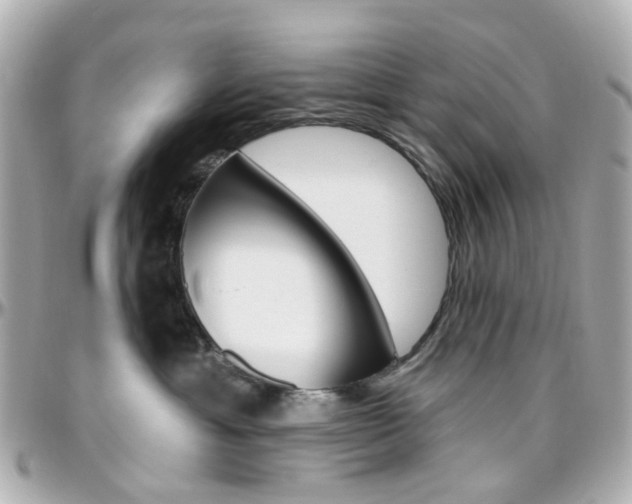 X0000096410429200801241029