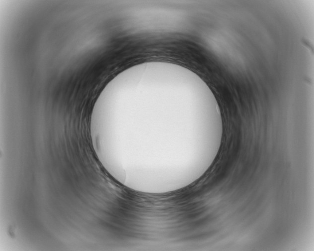 X0000096410431200801241029