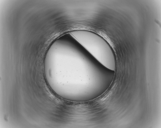 X0000096410433200801241029