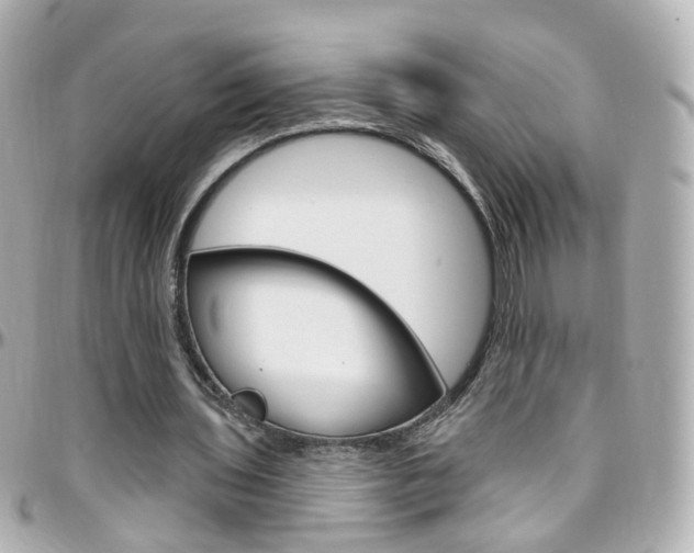 X0000096410435200801241029