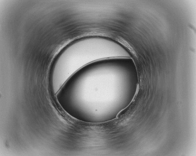 X0000096410436200801241029