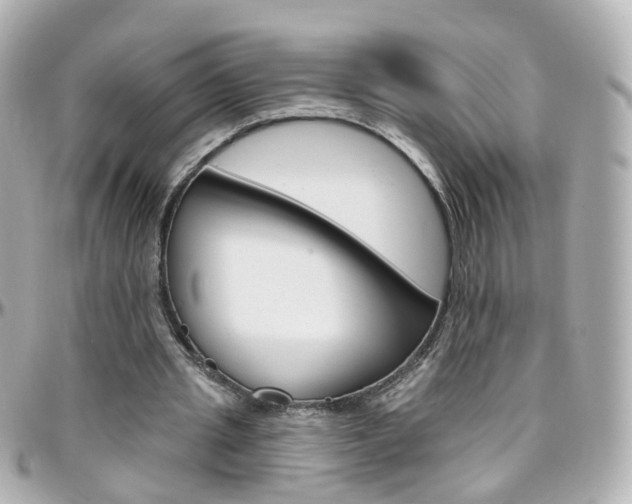 X0000096410437200801241029