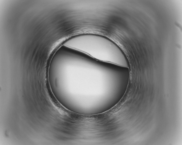 X0000096410438200801241029