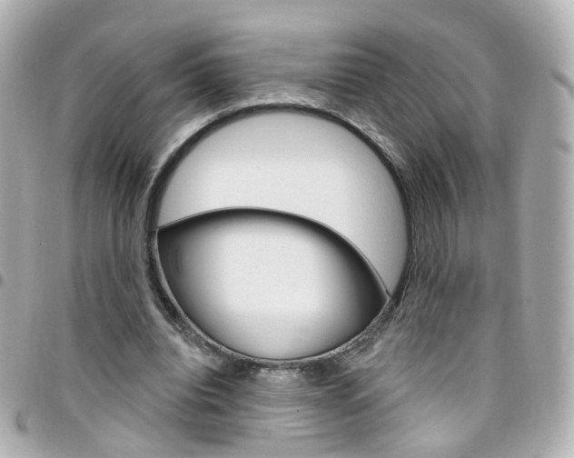 X0000096410440200801241029