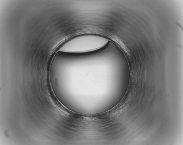 X0000096410442200801241029