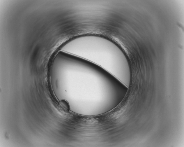 X0000096410443200801241029