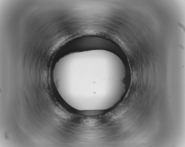 X0000096410444200801241029
