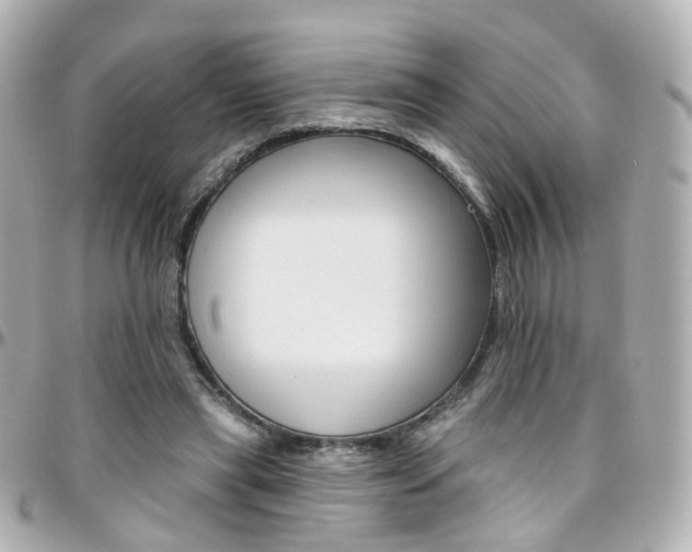 X0000096410445200801241029
