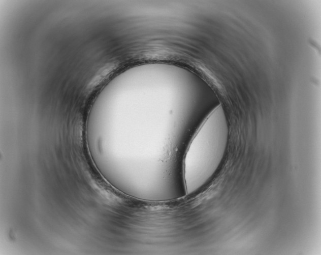 X0000096410446200801241029