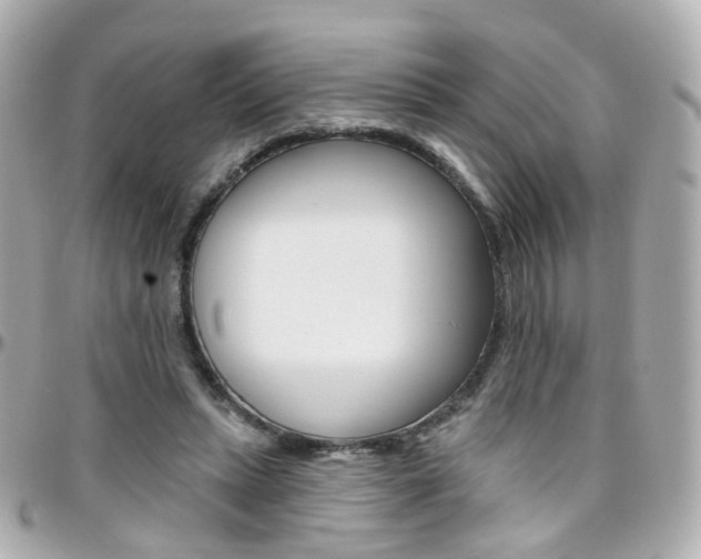 X0000096410447200801241029