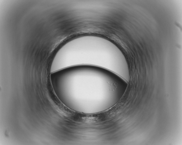 X0000096410448200801241029