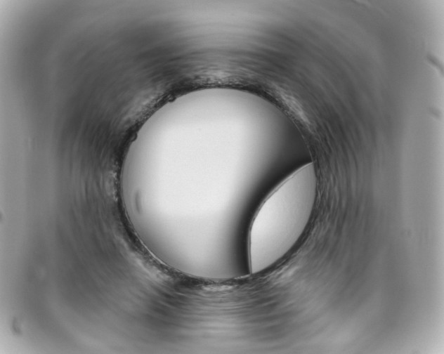 X0000096410450200801241029
