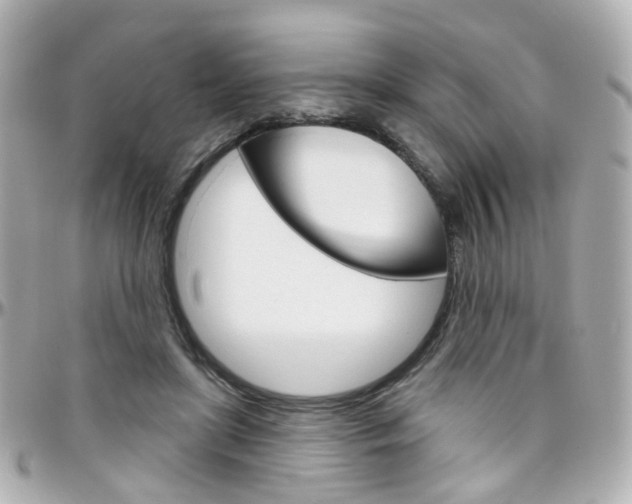 X0000096410451200801241029
