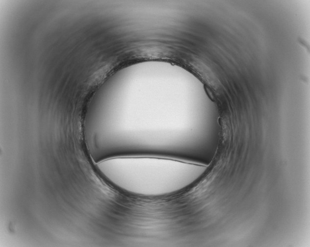 X0000096410453200801241029