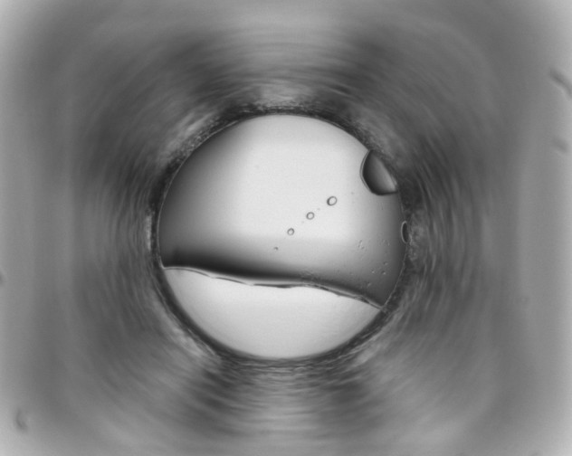 X0000096410454200801241029