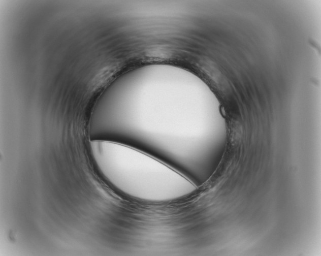 X0000096410455200801241029