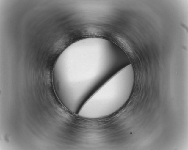 X0000096410457200801241029