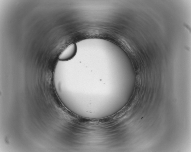 X0000096410458200801241029