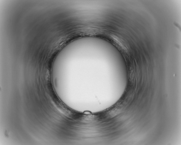 X0000096410459200801241029