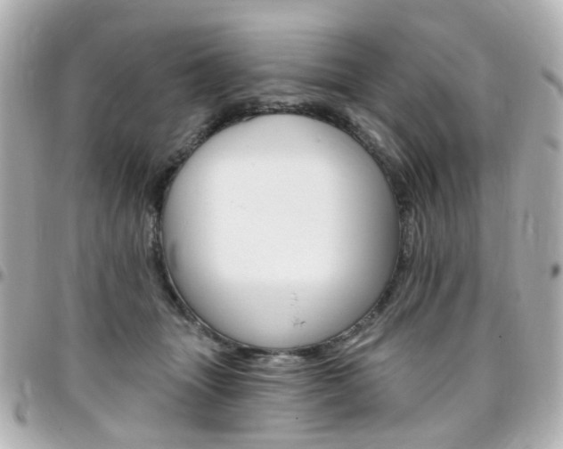 X0000096410463200801241029
