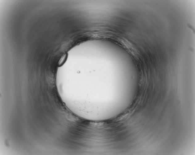 X0000096410469200801241029