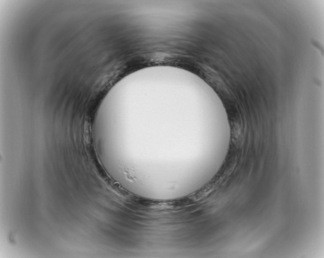 X0000096410470200801241029