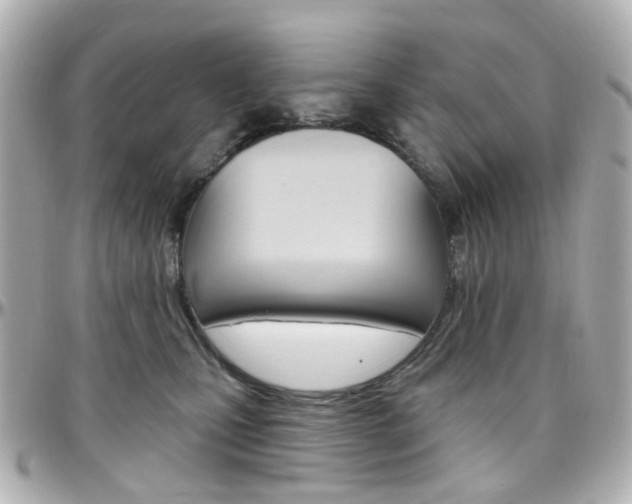 X0000096410471200801241029