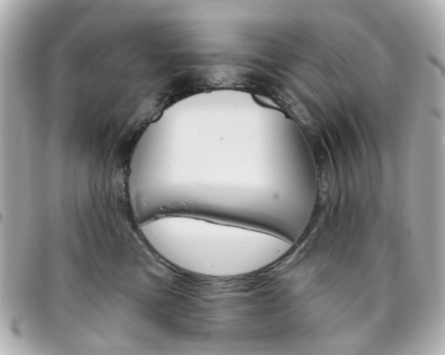 X0000096410473200801241029