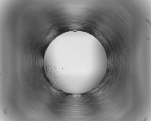 X0000096410474200801241029
