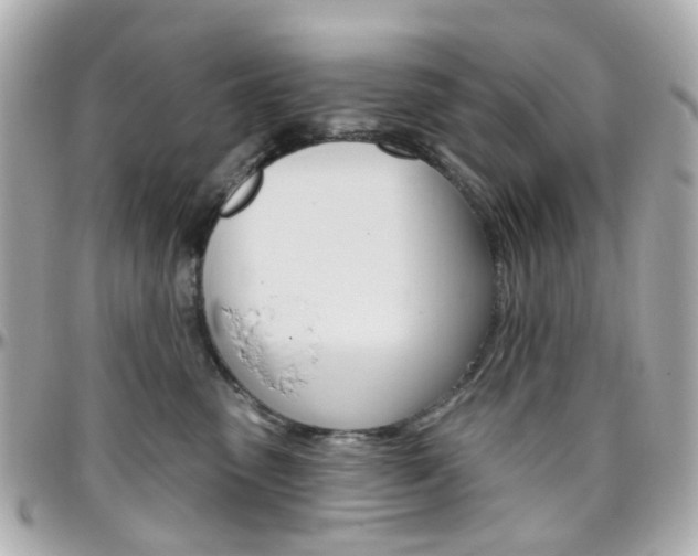 X0000096410475200801241029
