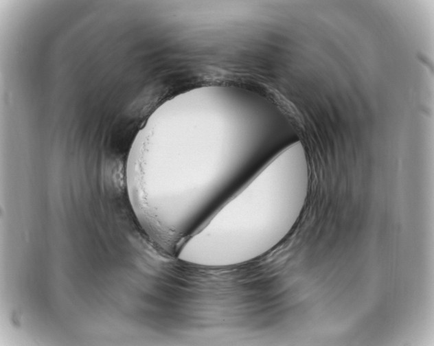 X0000096410479200801241029