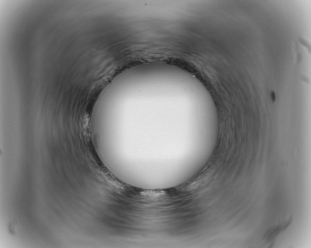 X0000096410480200801241029