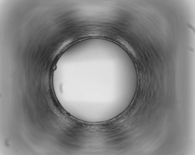 X0000096410482200801241029