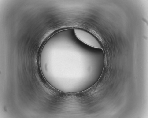 X0000096410483200801241029