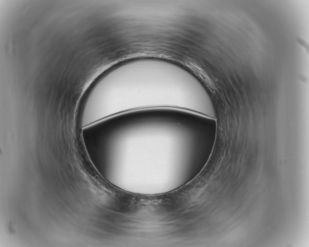 X0000096410484200801241029