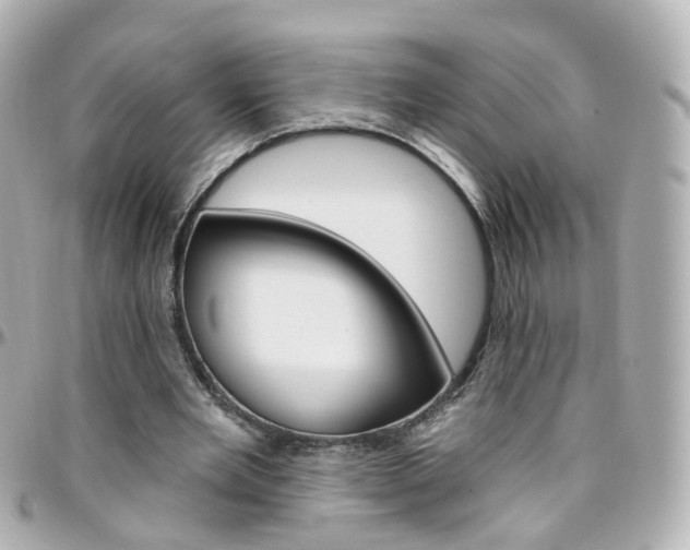 X0000096410485200801241029