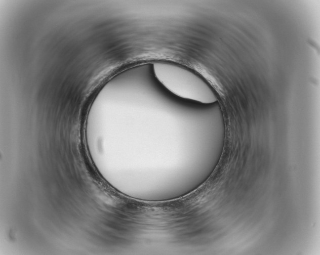 X0000096410486200801241029