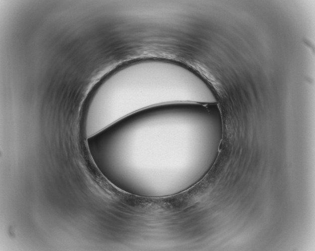 X0000096410488200801241028