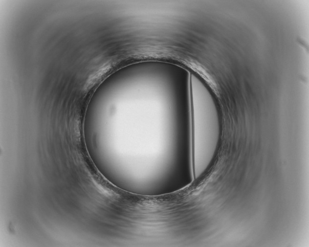 X0000096410489200801241028