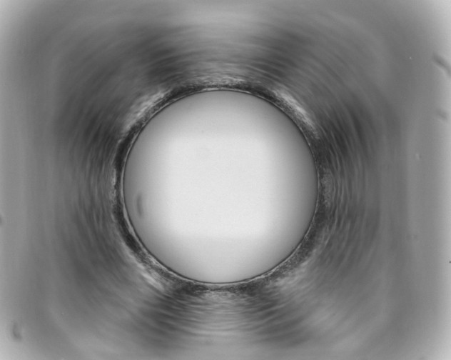 X0000096410490200801241028