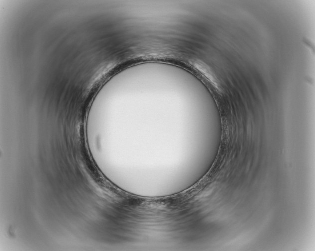 X0000096410491200801241028