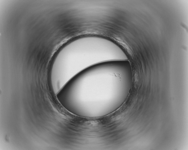 X0000096410492200801241028